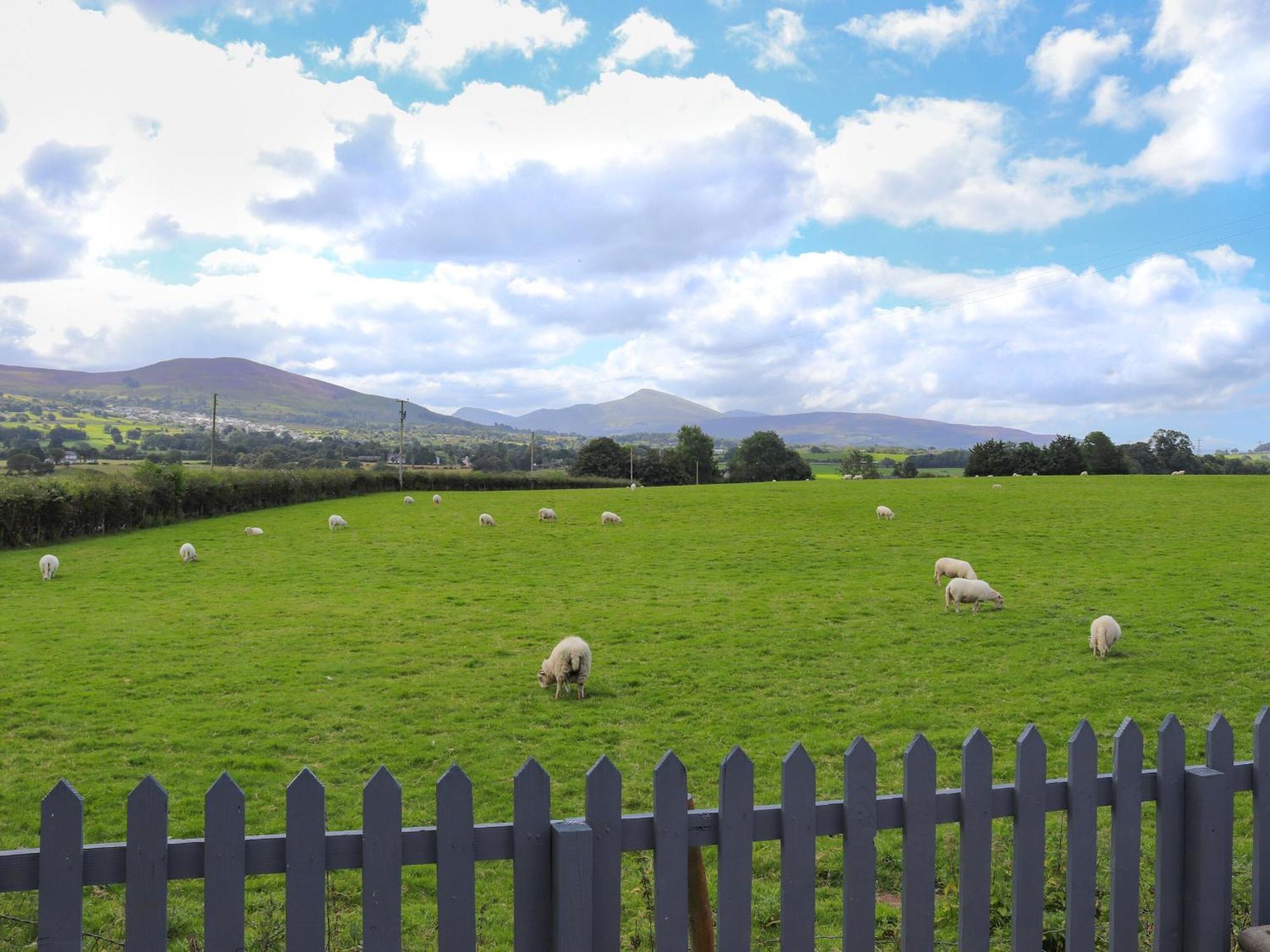 Pencefn Cottage Llanddeiniolen Esterno foto